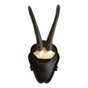 1976 Black Forest Mountain Goat Antlers