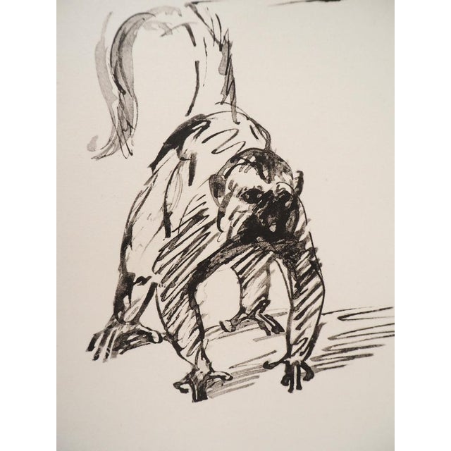 Théophile Alexandre Steinlen, The Monkeys, 1933, Lithograph For Sale - Image 3 of 5