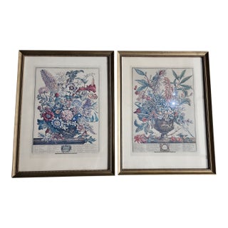 Peter Casteels Botanical Reproduction Prints - A Pair For Sale