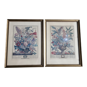 Peter Casteels Botanical Reproduction Prints - A Pair