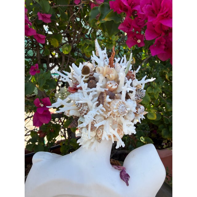 CSS Seashell 10.5" Bust of Hermes For Sale In West Palm - Image 6 of 7