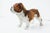 Mid 20th Century Vintage Bull Dog Hand-Painted Figurine For Sale - Image 5 of 8
