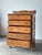 Brown Antique Scalloped Quarter Sawn Golden Oak Chest of Drawers For Sale - Image 8 of 13