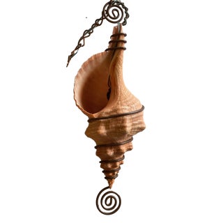 Conch Shell Hanging Lamp For Sale