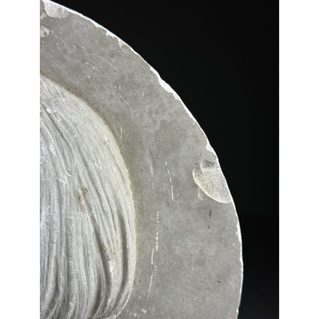 White Plaster Plaque, 19th Century For Sale - Image 8 of 18