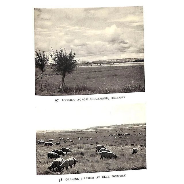 Paper "Rural England: A Survey of Its Chief Features" 1939 Massingham, h.j. For Sale - Image 7 of 10