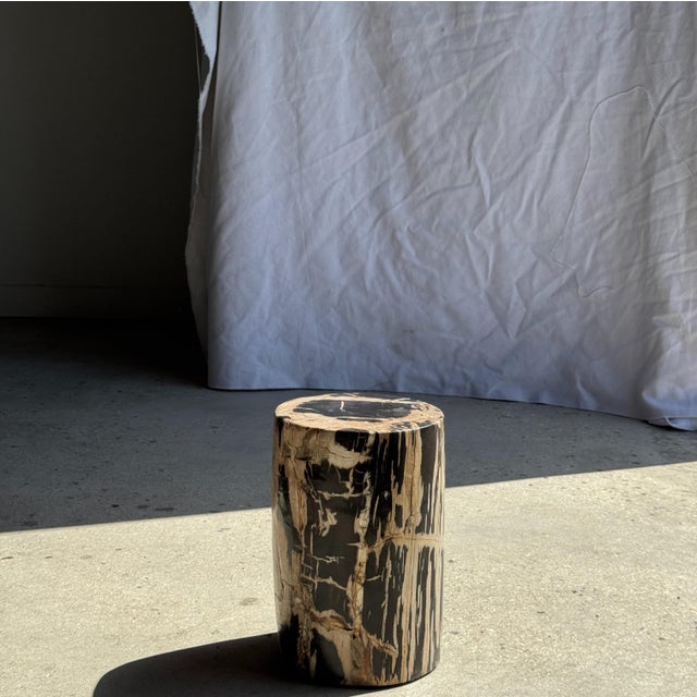 Small Side Table in Petrified Wood, Black Heartwood, Bark with Black and Beige Streaks, 1980s For Sale - Image 9 of 18