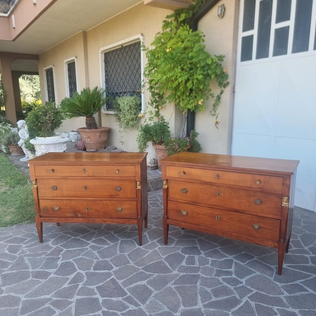 Return from Egypt Cherrywood Chests of Drawers, 1820, Set of 2 For Sale - Image 12 of 13