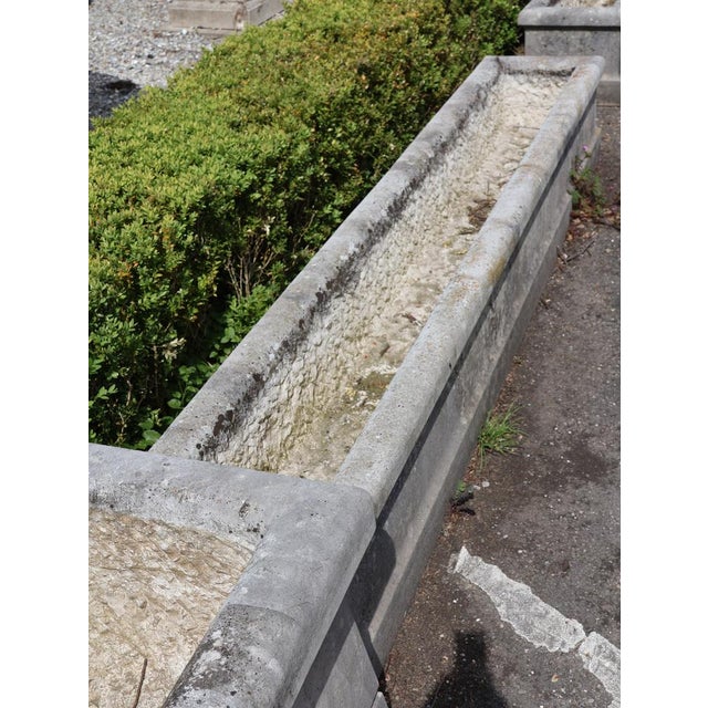 Mid-Century French Limestone Planters, 1950s, Set of 4 For Sale - Image 4 of 12