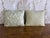 A refined study in timeless Venetian elegance, this pair of custom couture pillows is crafted from an iconic Italian...