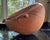 Large Antique Terracotta Vessel With Spout & Handles For Sale - Image 4 of 9
