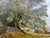 Oil painting by landscape master Hamilton Maxwell 1885. Oil on canvas - in ornate gold frame. “ A Glimps of Loch Lomond “...