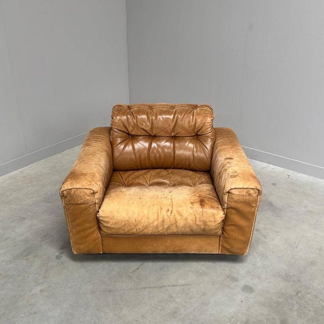 Late 20th Century Vintage DS40 Lounge Chair from De Sede, 1970s For Sale - Image 5 of 14