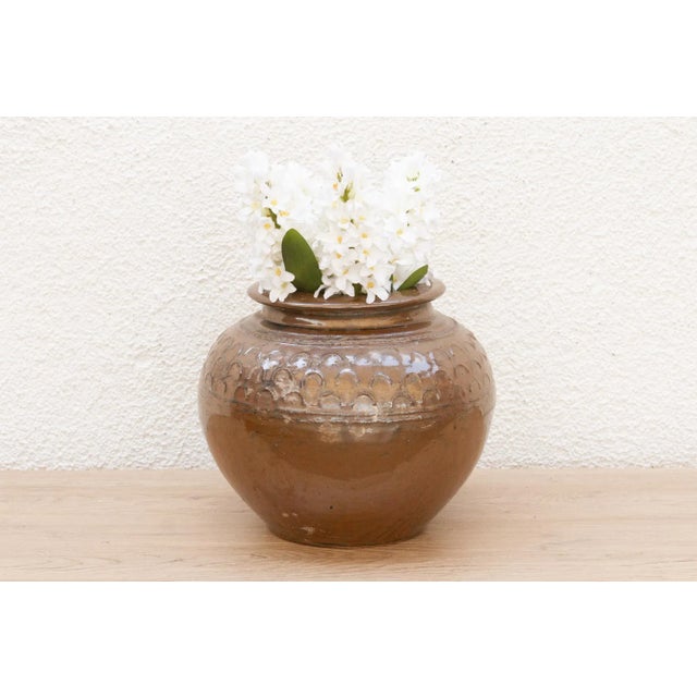 A quiet sentinel, its beauty told in clay and fire. This elegant stoneware pot carries a dignified presence with its rich,...