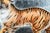 Fierce Hand Painted Enamel Tiger Antique Sterling Silver Luxury Cigarette Case Holder Tobacciana For Sale In New York - Image 6 of 18