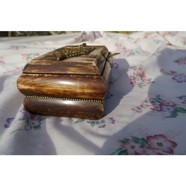 Camel Vintage Camel Bone With Brass Fittings Decorative Trinket Box Velvet Lined For Sale - Image 8 of 15