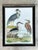 Vintage Audubon Print of Three Birds For Sale - Image 4 of 12