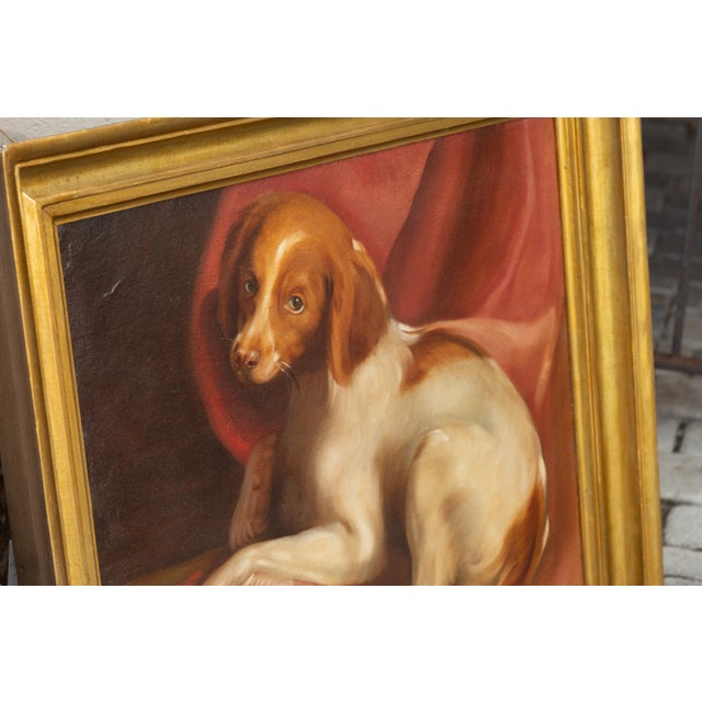 An American oil on board dog painting from the late 19th century in giltwood frame. How not to melt in front of this...