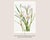 Atamasco Lily, Vintage Botanical Art Print Reproduction by Mary Vaux Walcott, 32" X 48" For Sale In Buffalo - Image 6 of 10