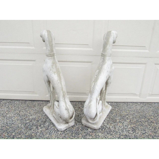 Pair of Stone Garden Greyhound Statues For Sale - Image 14 of 17