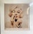 Bert Stern, Marilyn, 1986, Silver Gelatin Print For Sale - Image 11 of 11