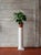 Bunny Williams Home Lorenzo Pedestal For Sale In Charlotte - Image 6 of 8