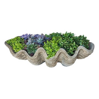 South Seas Shell Planter, Large Gray Concrete Garden Ornament For Sale