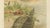 P. J. Smit, Soft River Tortoises, 1895, Lithograph For Sale - Image 6 of 9
