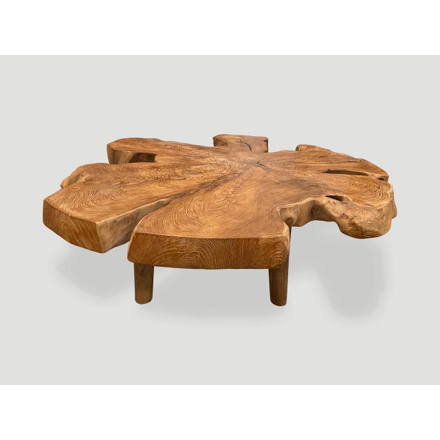 Andrianna Shamaris Organic Teak Wood Root Coffee Table For Sale - Image 16 of 18