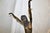 Art Deco Egyptian Dancer in the Manner of Chiparus For Sale - Image 13 of 18