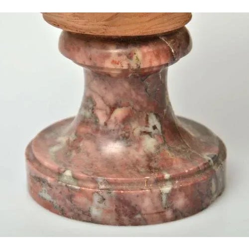 Stone Terracotta Bust on a Marble Base Bust of a Virgin For Sale - Image 7 of 10