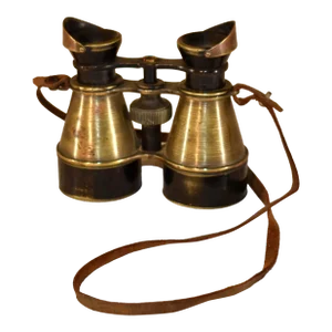 Pair of Brass Field Binoculars by W. Watson &. Sons of London
