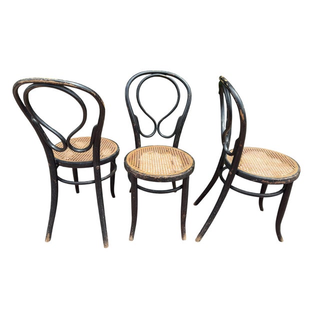 N14 Fischel 19s Thonet Style Bistro Chairs, 1860, Set of 3 For Sale - Image 6 of 14