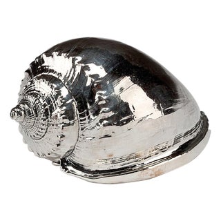 Silvered Sea Shell Scotch Bonnet For Sale
