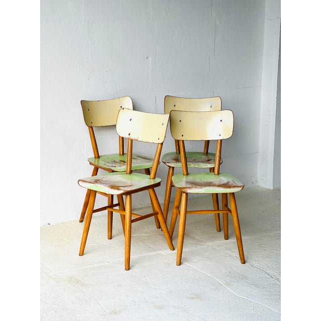 Dining Chairs from Ton, 1960, Set of 4 For Sale - Image 14 of 18