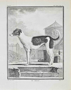 Jacques de Seve, Le Mâtin, Etching, 1771