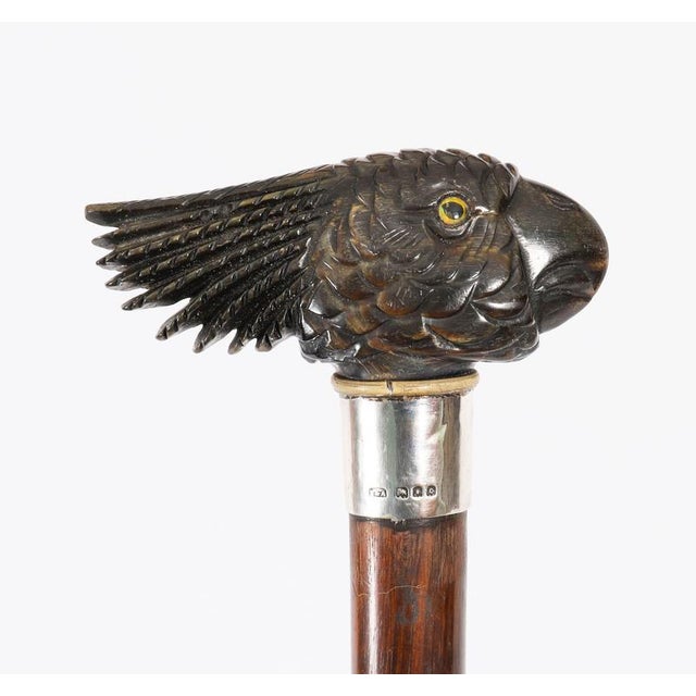 Antique Art Deco Novelty Parrot Walking Stick Cane, 1920s For Sale - Image 14 of 15