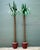 Terra Cotta Vintage Monumental Punch Cut Palm Trees - A Pair For Sale - Image 8 of 12