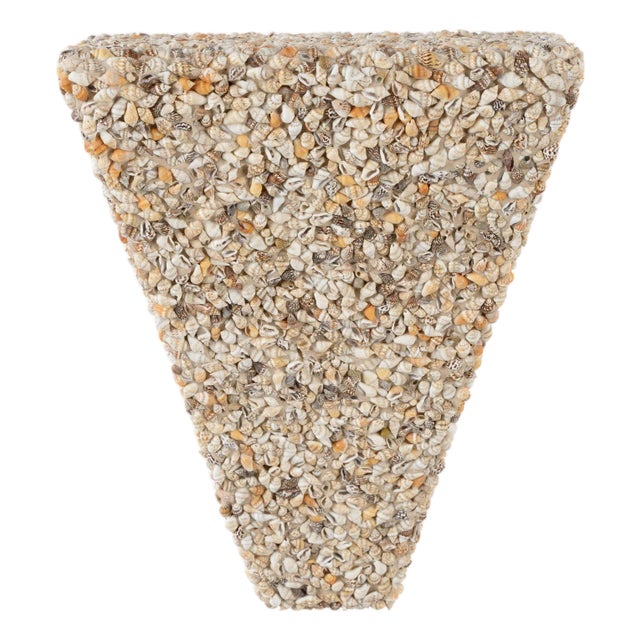 Shell Bracket - Natural For Sale