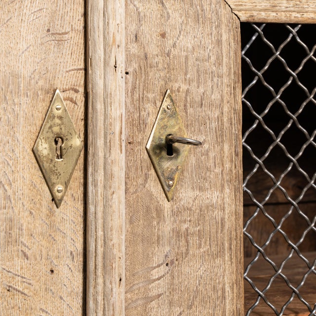 19th Century Oak Cabinet with Mesh Doors For Sale - Image 9 of 13