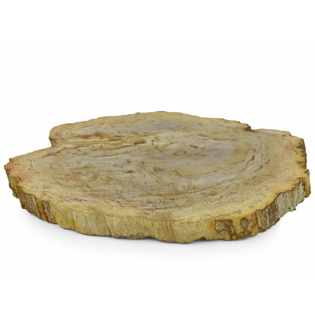 Late 20th Century Late 20th Century Solid Stone Serving Cheese Charcuterie Board Platter With Natural Edge For Sale - Image 5 of 10