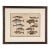 Fish Engraving, Germany Circa 1880 For Sale