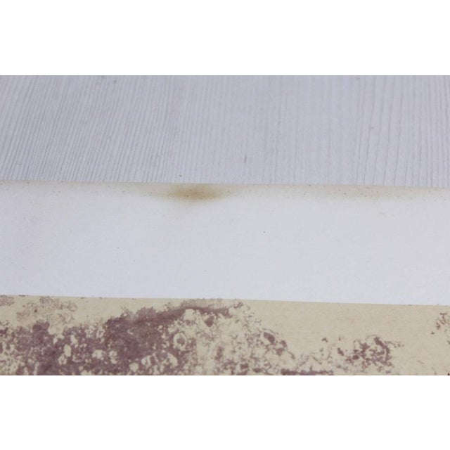 Klaus Littmann, Composition, 1970, Lithograph For Sale - Image 7 of 12