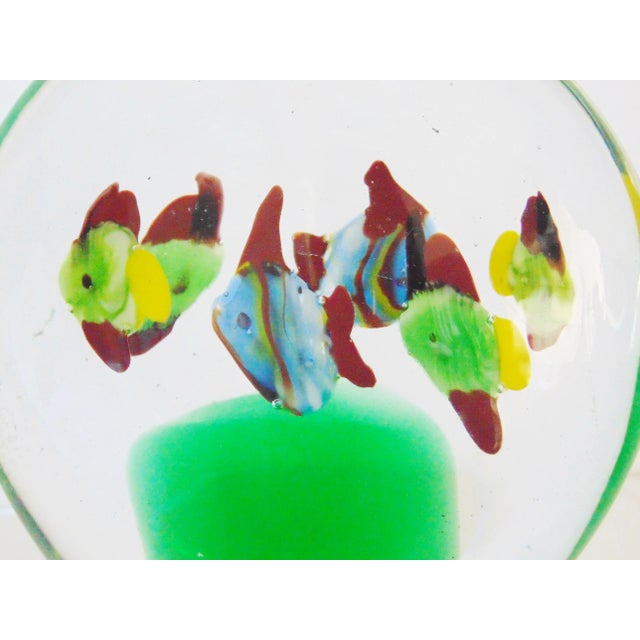Murano style Art Glass paperweight w/ Fish, 5 fish swimming over algae