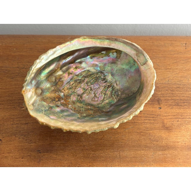 1980s Natural Abalone Shell Bowl on Acrylic Feet For Sale - Image 4 of 6