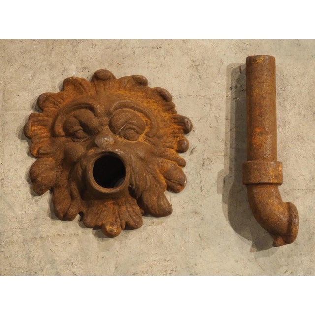 Mid 20th Century French Cast Iron Mascaron Spout With Backplate For Sale - Image 5 of 7