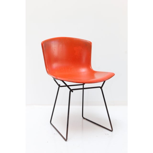 Knoll Bertoia Fiberglass Side Chair RedOrange Chairish