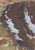 1990s Impressionism Landscape Painting, Ukrainian Artist, 1992 50-35 For Sale - Image 6 of 6