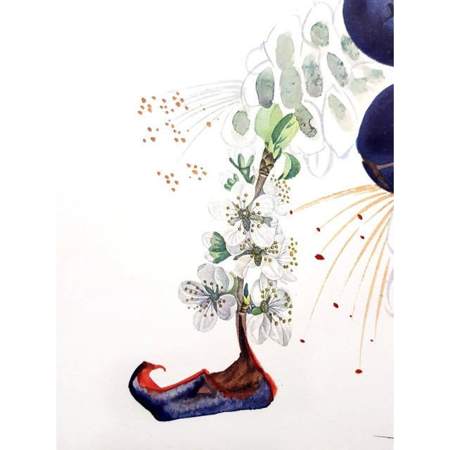 Salvador Dali, Plum, Hand-Signed Lithograph, 1969 For Sale - Image 14 of 15