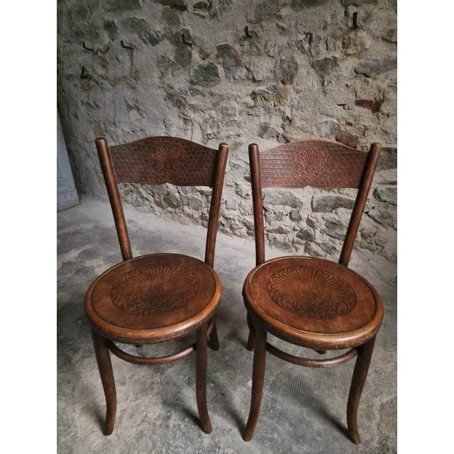 Antique Bistro Chairs in Bentwood by Fischel Austria, 1890s, Set of 2 For Sale - Image 18 of 18